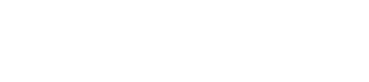 20 years of experience
